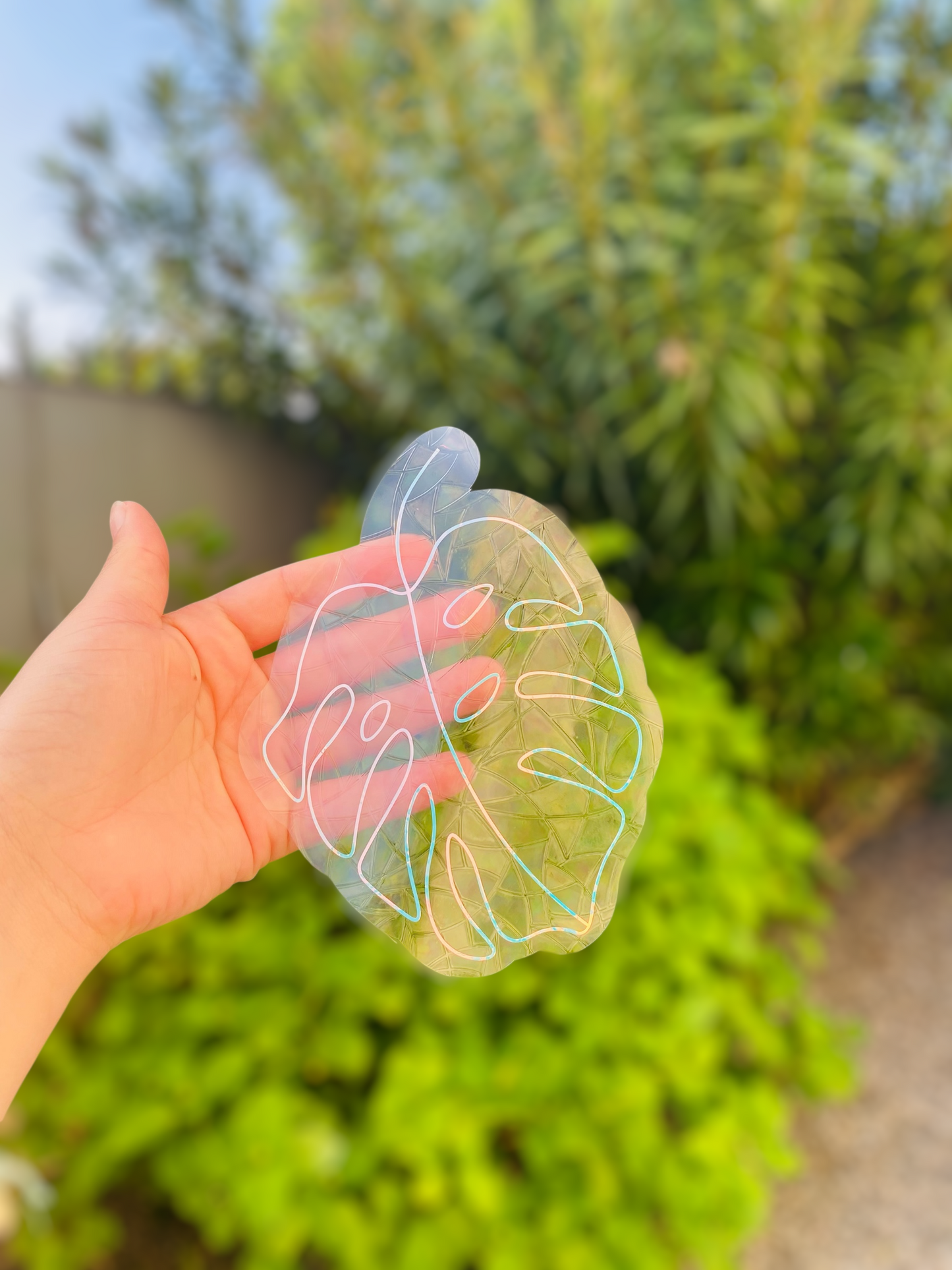 Sun catcher - Plante
