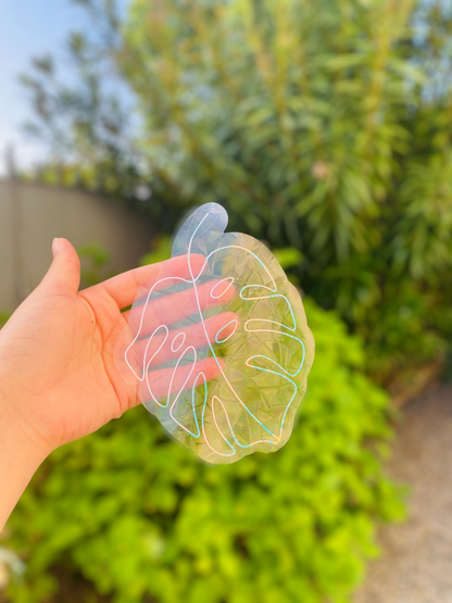 Sun catcher - Plante