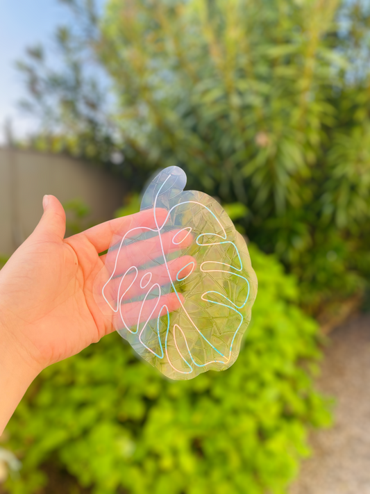 Sun catcher - Plante